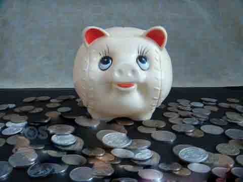 网上有什么赚钱的项目赚钱最快? 网上有什么赚钱的项目赚钱最快?